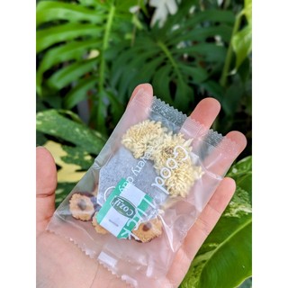 Trà Thảo Mộc - Trà Bạc Hà Bạch Cúc