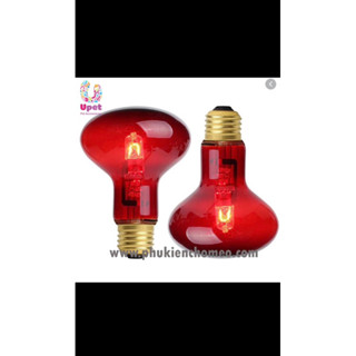 Đèn Sưởi Dành Cho Chó Mèo Mới Sinh - Chó Mèo Bị Ốm - Dùng Khi Thời Tiết Lạnh (75W)
