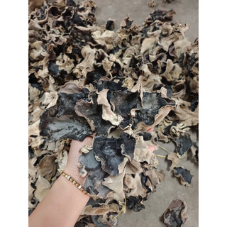 1kg nấm mèo