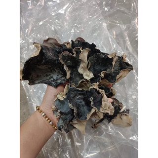 1kg Nấm Mèo (mộc nhĩ)