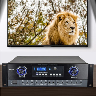 Ampli karaoke bluetooth sò công suất lớn cao cấp AV-320 - Bộ khuyếch đại âm thanh KTV karaoke sân khấu chuyên nghiệp