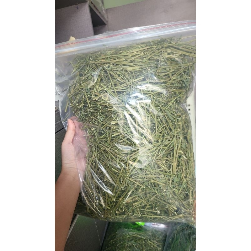 Cỏ Alfalfa Cọng 500g-1000g