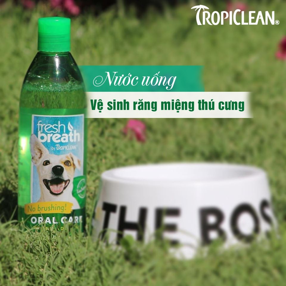 Nước uống thơm miệng cho chó mèo Fresh Breath 118ml