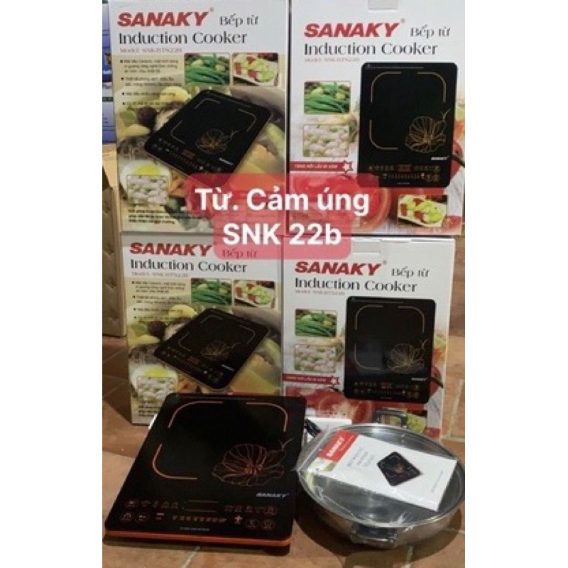 BẾP ĐIỆN TỪ SANAKY