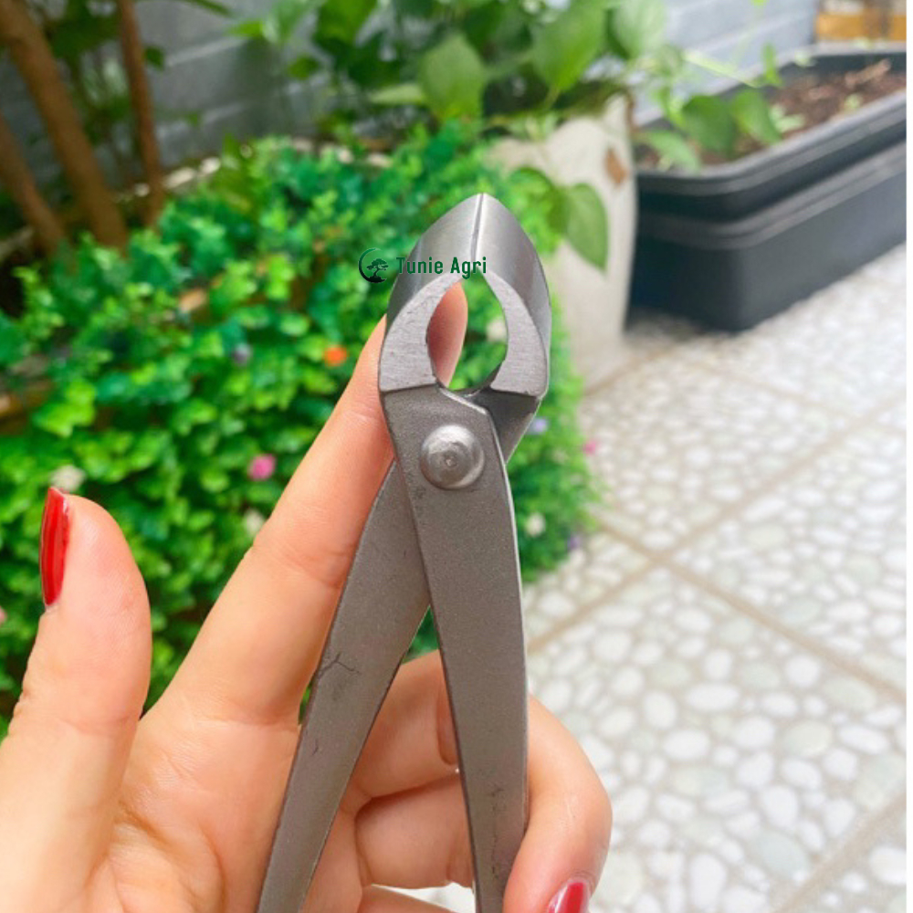 Cạp Tròn Cạp Xéo Kéo bấm cành Cây Cảnh Bonsai Sắc Bén