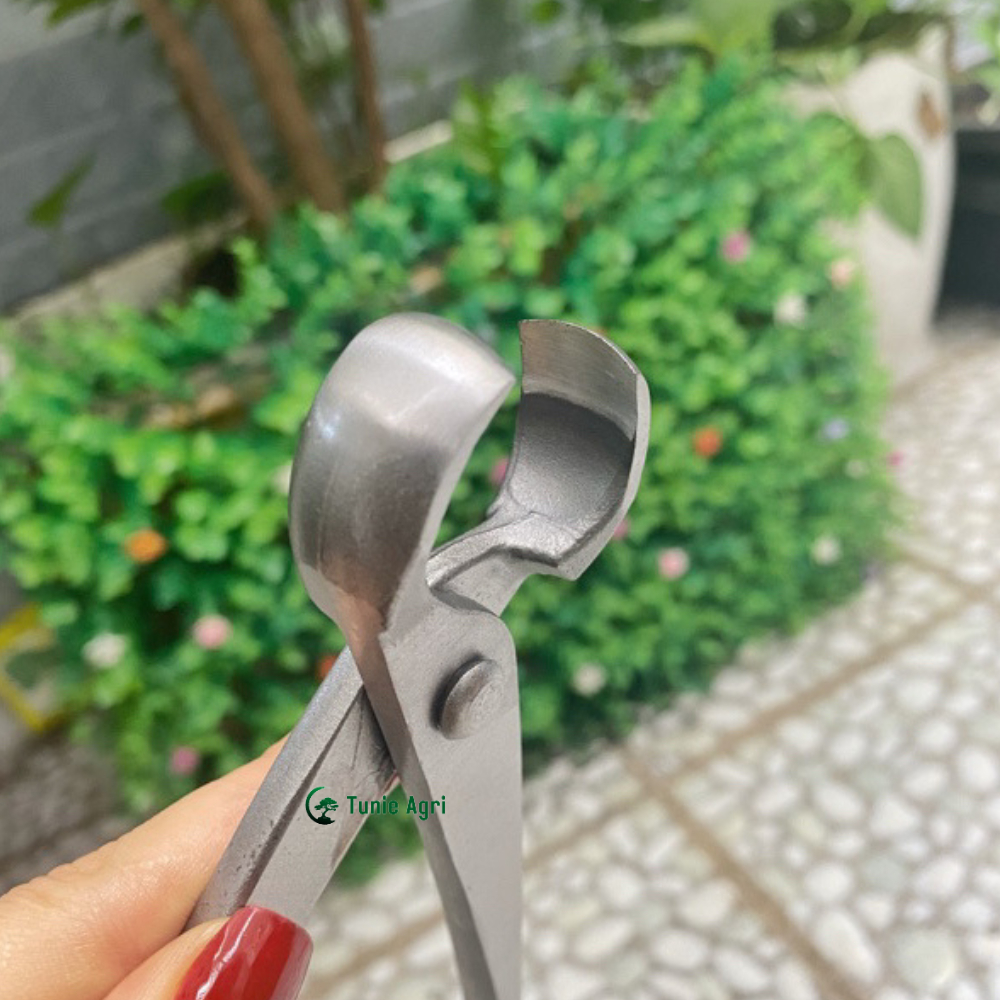 Cạp Tròn Cạp Xéo Kéo bấm cành Cây Cảnh Bonsai Sắc Bén