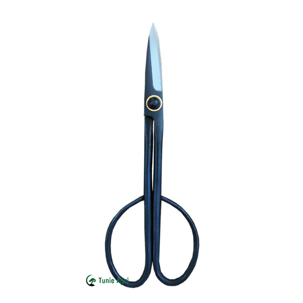 Cạp Tròn Cạp Xéo Kéo bấm cành Cây Cảnh Bonsai Sắc Bén