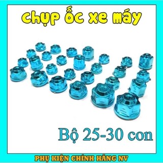 Chụp đầu óc giá 1bich