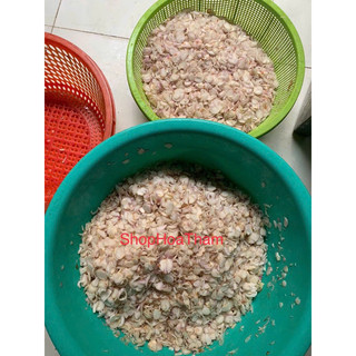 100gram Hành bắc phi thơm giòn nhà làm