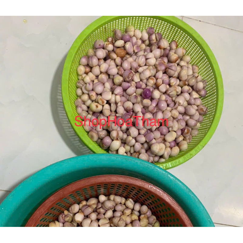 100gram Hành bắc phi thơm giòn nhà làm
