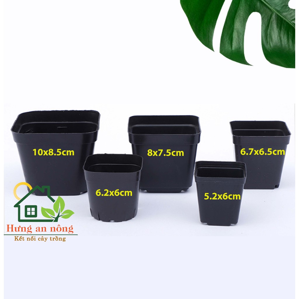 CNVDL2 - Sét 50 châu nhựa vuông đen ươm trồng cây nhiều size