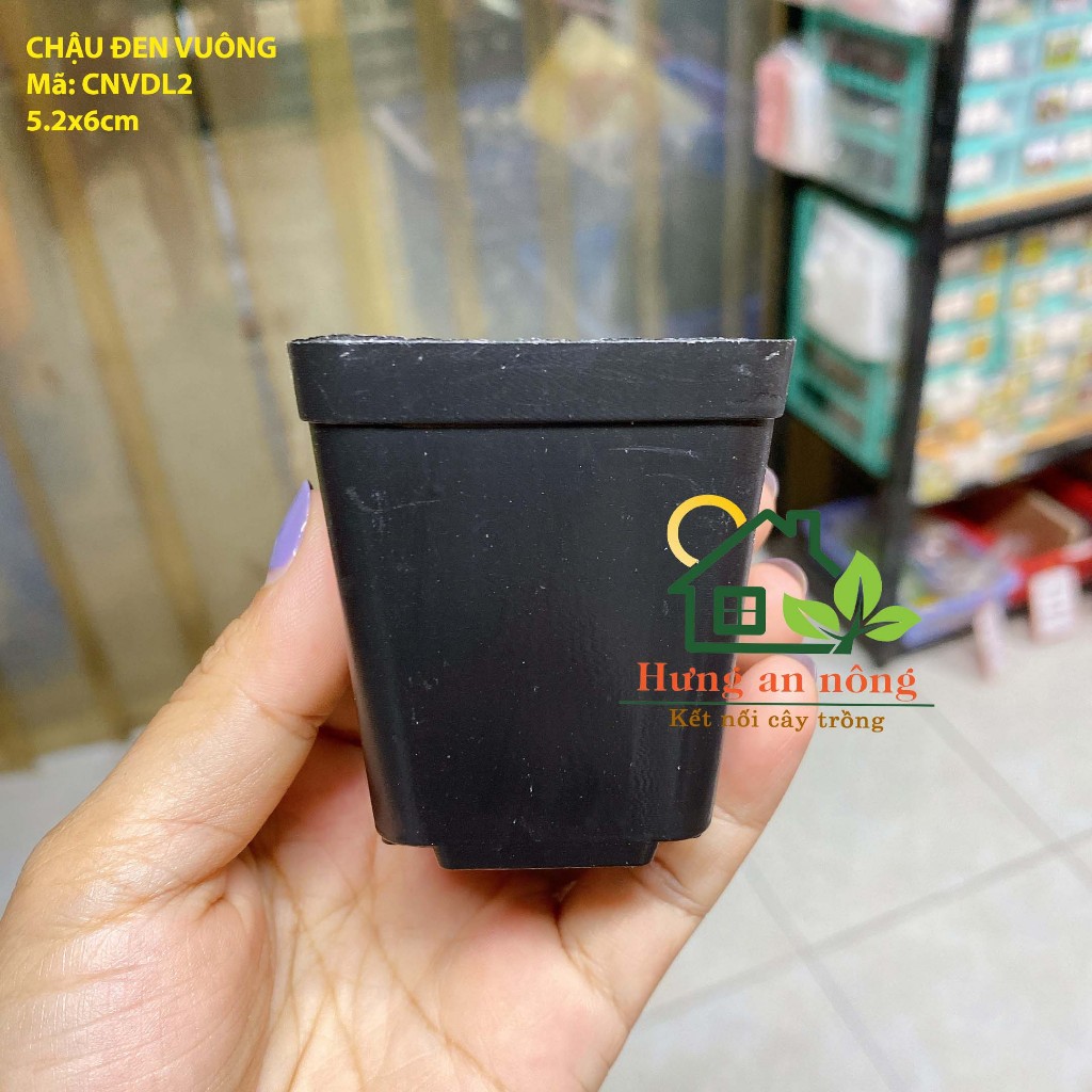 CNVDL2 - Sét 50 châu nhựa vuông đen ươm trồng cây nhiều size