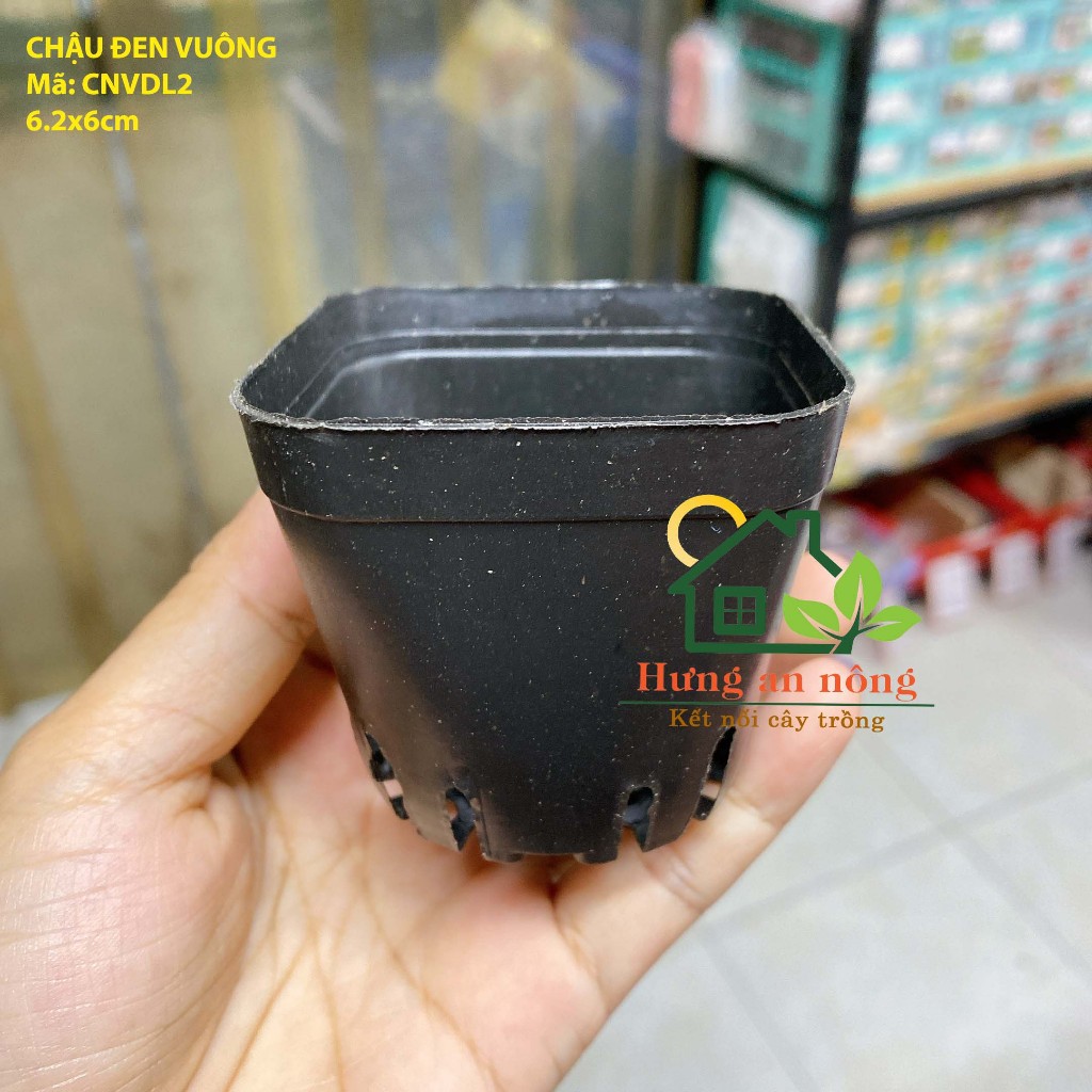 CNVDL2 - Sét 50 châu nhựa vuông đen ươm trồng cây nhiều size