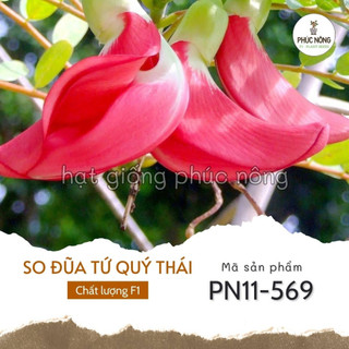 Hạt giống cây so đũa thứ quý thái bông đỏ - 10 hạt