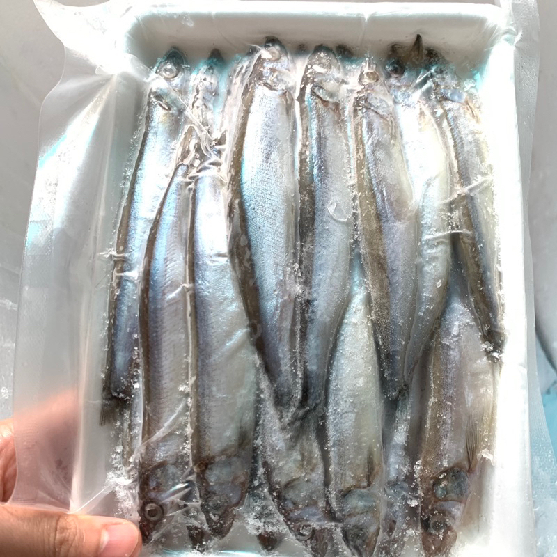 CÁ TRỨNG NAUY THƠM NGON BÉO BÙI NÉT ĐỦ 100%