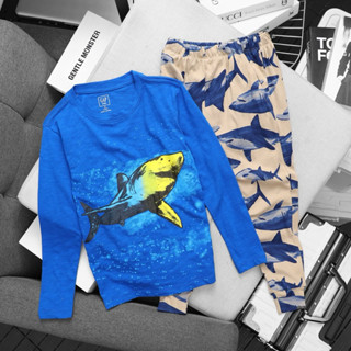 (23kg...58kg) Đồ Bộ Thun cotton bé trai VNXK , Bộ Áo tay dài quần dài