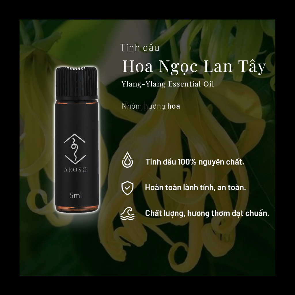 Tinh dầu Hoa Ngọc Lan Tây | Aroso | Tinh dầu thiên nhiên | Xông thơm phòng | Làm nến thơm | Thư Giãn Tâm Trí