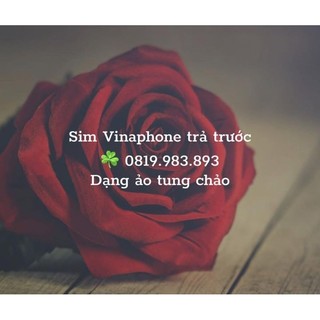Sim Vinaphone sim số đẹp , sim phong thủy, sim dễ nhớ