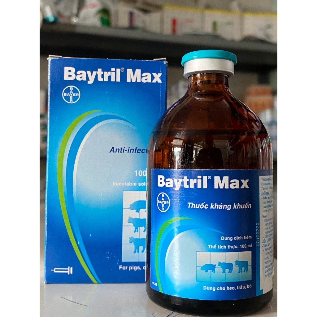 Baytril Max 100ml Dùng cho trâu, bò, heo
