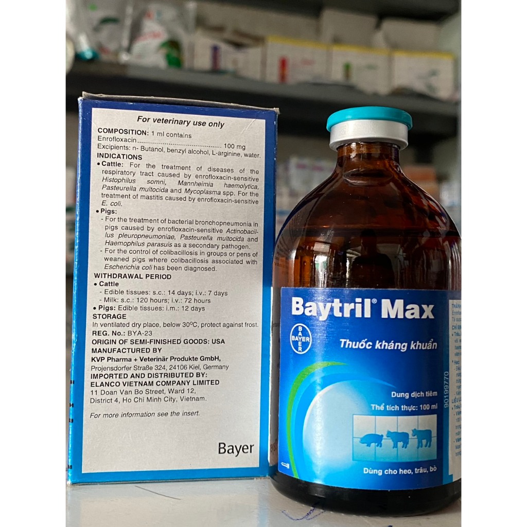Baytril Max 100ml Dùng cho trâu, bò, heo