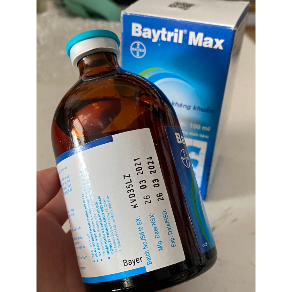 Baytril Max 100ml Dùng cho trâu, bò, heo