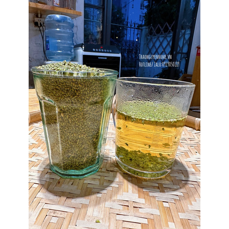 Trà nụ hoa hoè ( hoè mễ)
