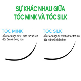 Mi khay SEDUIRE độ cong C+(CC) (12 hàng), tóc MINK