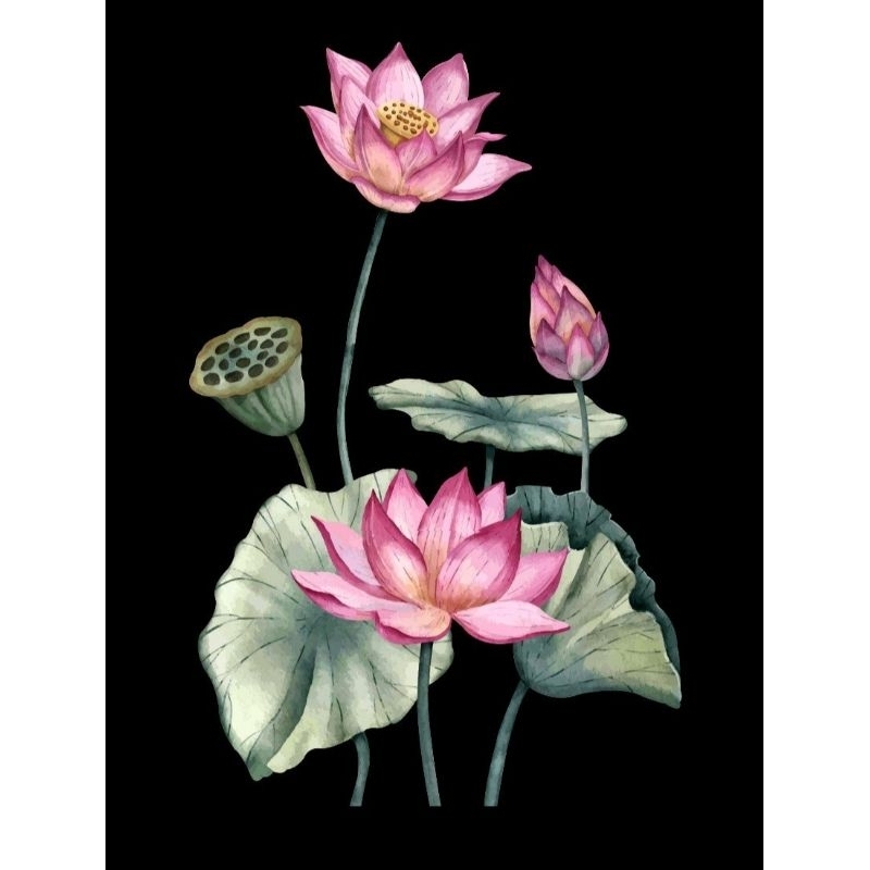 Hình ủi ép nhiệt, in áo. Mẫu Hoa sen HS4 in áo dài, áo bà ba, váy, yếm cho mẹ và bé