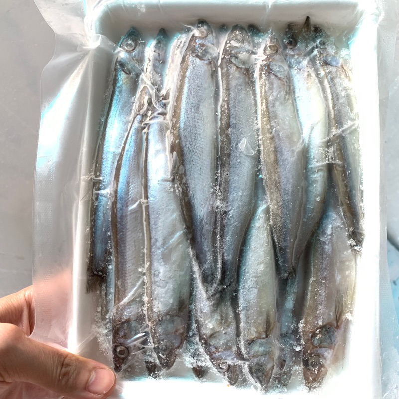 CÁ TRỨNG NAUY THƠM NGON BÉO BÙI NÉT ĐỦ 100%