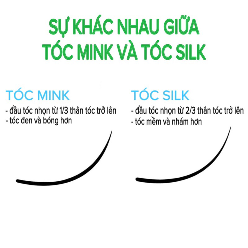 Mi khay  SEDUIRE độ cong C+ 12 hàng, tóc SILK