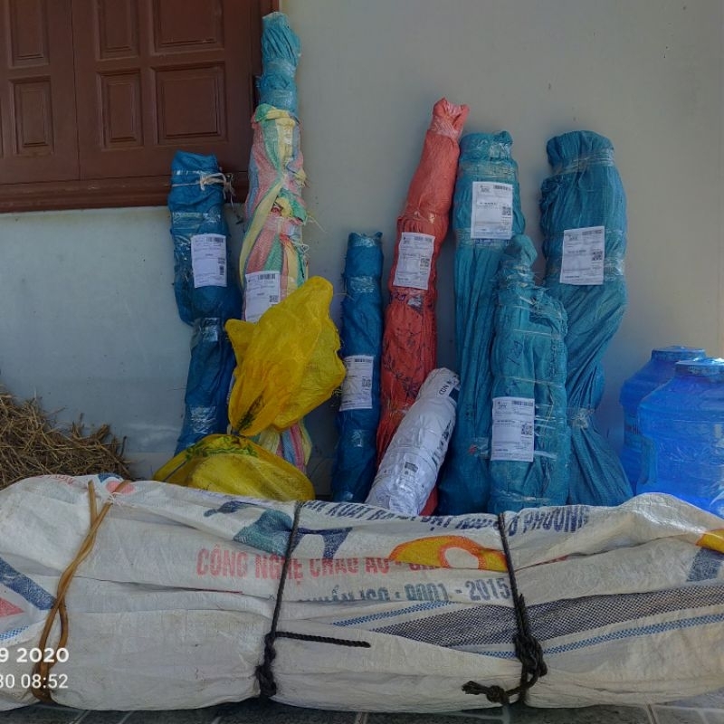 1kg Củ bạc hà núi CỠ LỚN - Lâu năm - Trên núi cao