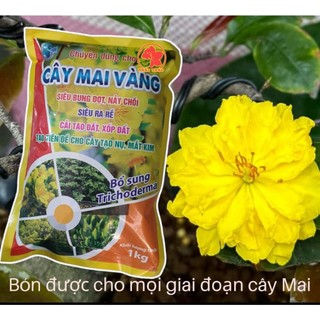Phân bón hữu cơ chuyên cho mai vàng 1kg bón phân sau tết, phục hồi cây đang suy yếu