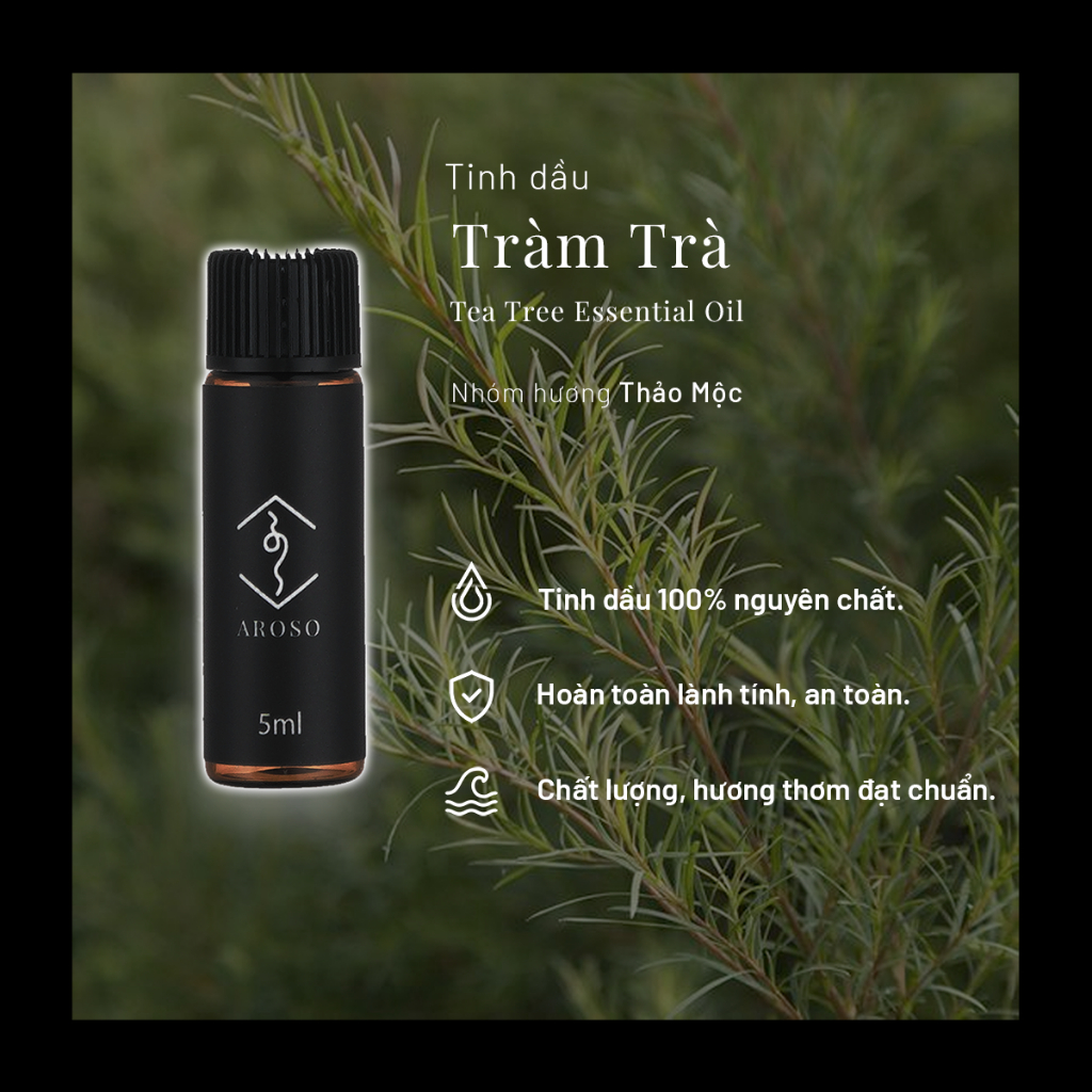 Tinh dầu Tràm Trà | Tinh dầu thiên nhiên | Aroso | Xông thơm phòng | Làm nến thơm | Thư Giãn Tâm Trí