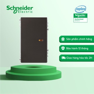 Công tắc 2 chiều Schneider 8431L_2_BZ_G19 - Màu Đồng bạc - Size 3M - 16AX - 250V