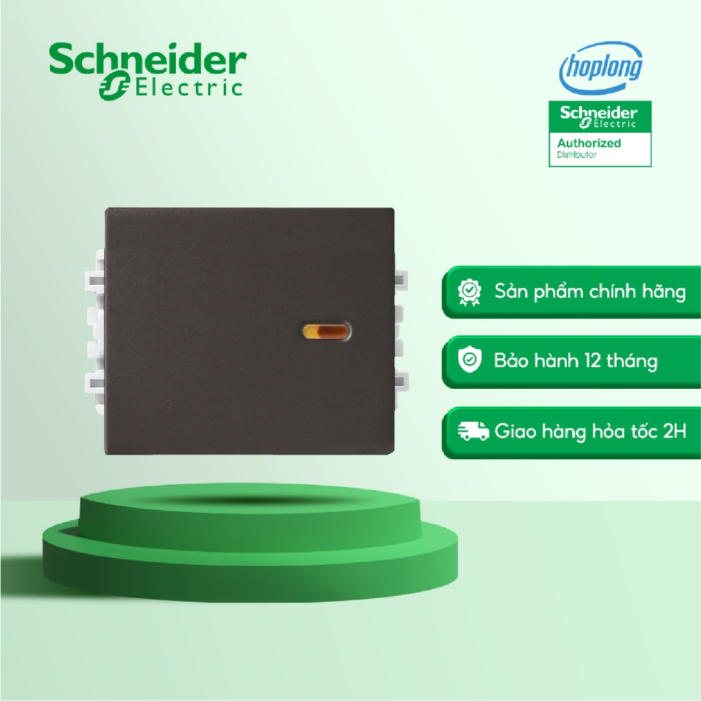 Công tắc 1 chiều 8431M_1_BZ_G19 Schneider