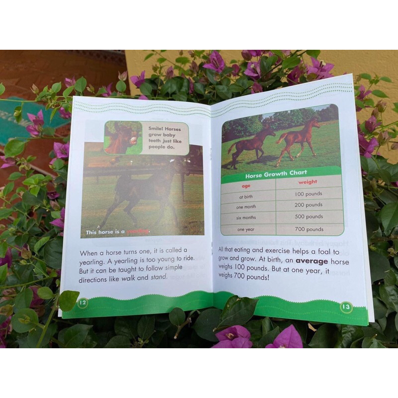 Nhap khau - Science vocabulary readers - Trọn bộ 34q + File nghe Mp3