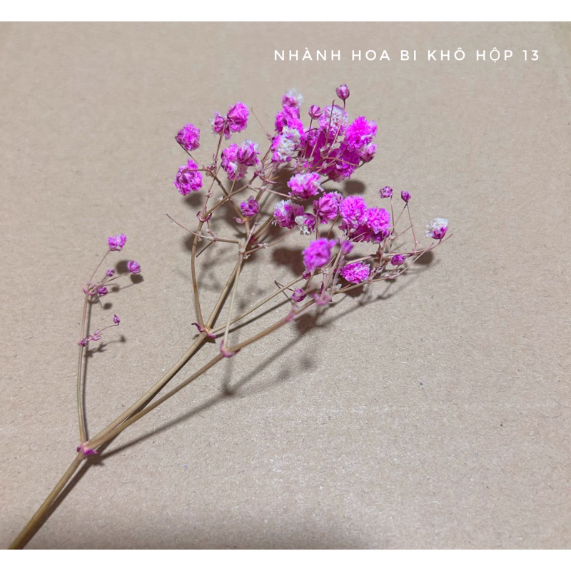 Hộp carton nắp gài đựng hàng