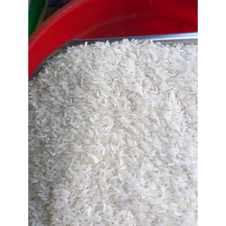 Gạo Nàng Hương ( 5kg )