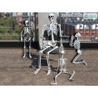 [HALLOWEEN - CÓ HỎA TỐC] Mô hình bộ xương người như thật NHỎ VÀ TRUNG XUONG-FULL-01
