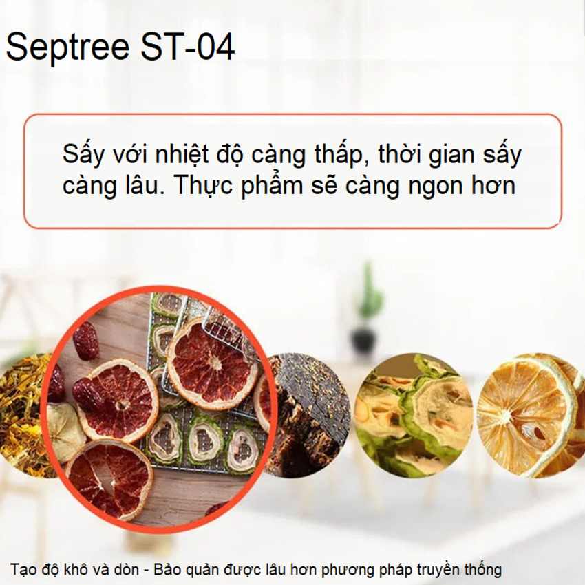 Máy sấy thực phẩm tích hợp đèn UV diệt khuẩn thương hiệu Mỹ Septree ST-04 - Bảo Hành 12 Tháng