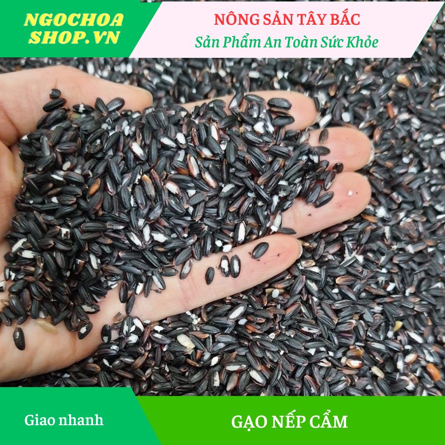 Gạo nếp cẩm Điện Biên