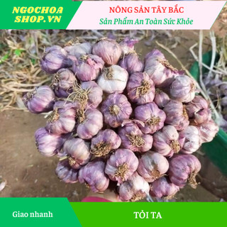 Tỏi ta khô kinh môn HẢI DƯƠNG