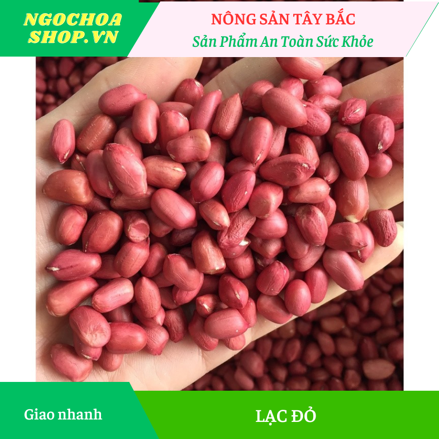 LẠC ĐỎ TÂY BẮC