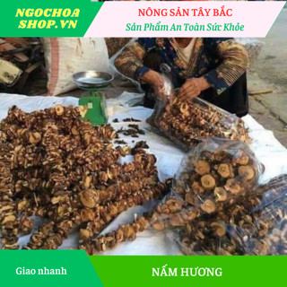 Nấm hương rừng Điện Biên