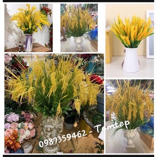{ Giá xưởng } cây lúa giả 2 màu xanh và vàng ( cao 70cm)