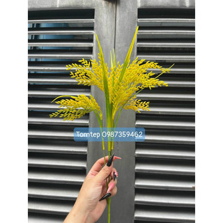 { Giá xưởng } cây lúa giả 2 màu xanh và vàng ( cao 70cm)