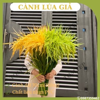 { Giá xưởng } cây lúa giả 2 màu xanh và vàng ( cao 70cm)