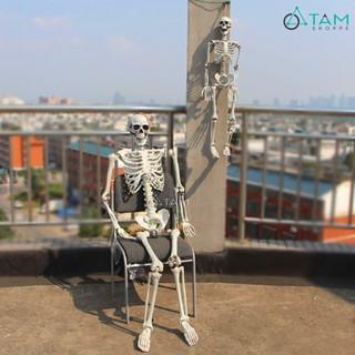 [HALLOWEEN - CÓ HỎA TỐC] Mô hình bộ xương người như thật cỡ LỚN XUONG-FULL-01