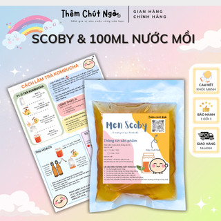 Scoby làm trà Kombucha, con giống Kombucha kèm nước mồi 100ml, con giống làm trà Kombucha