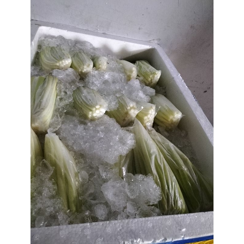 Thùng xốp  to 70*50*45 cm